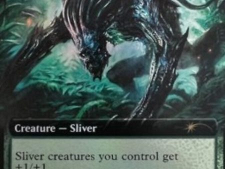 Predatory Sliver (Extended Art) [Secret Lair Drop Promos] For Sale